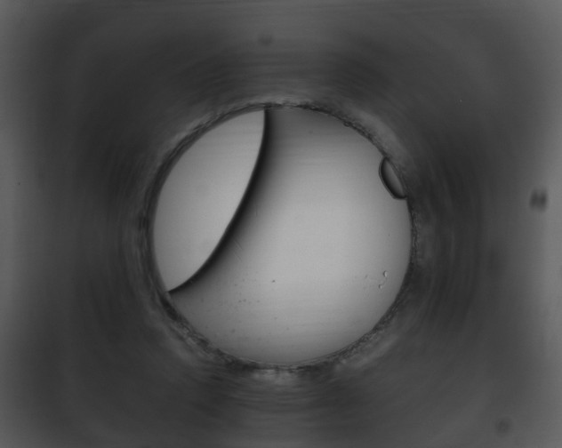 X0000101960354200807180708