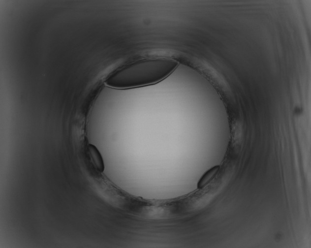 X0000101960356200807180708