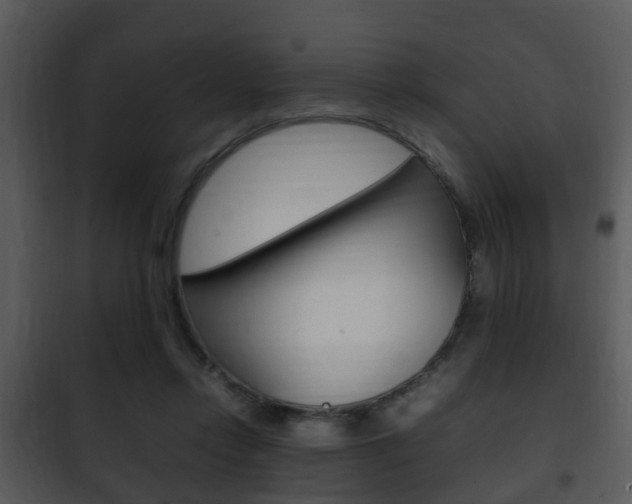 X0000101960358200807180708