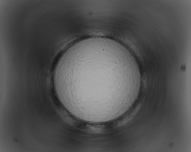 X0000101960359200807180708