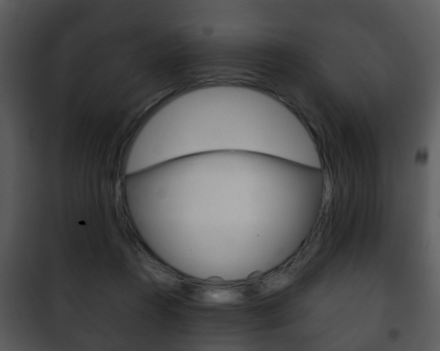 X0000101960360200807180708