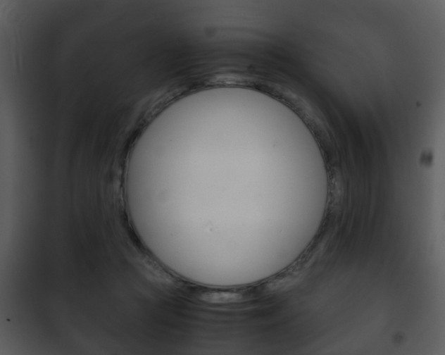 X0000101960361200807180708