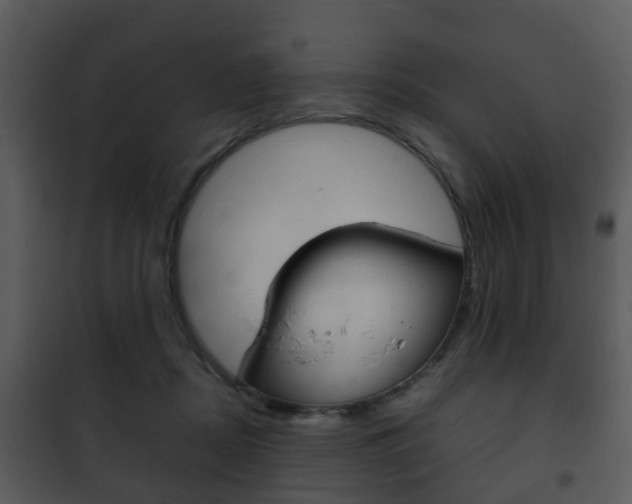 X0000101960362200807180708