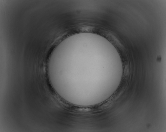X0000101960363200807180708