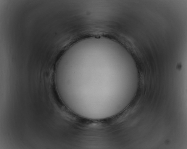 X0000101960364200807180708