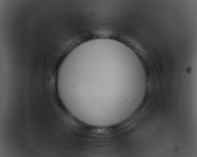 X0000101960365200807180708