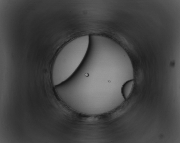 X0000101960366200807180708
