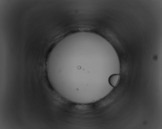 X0000101960367200807180708