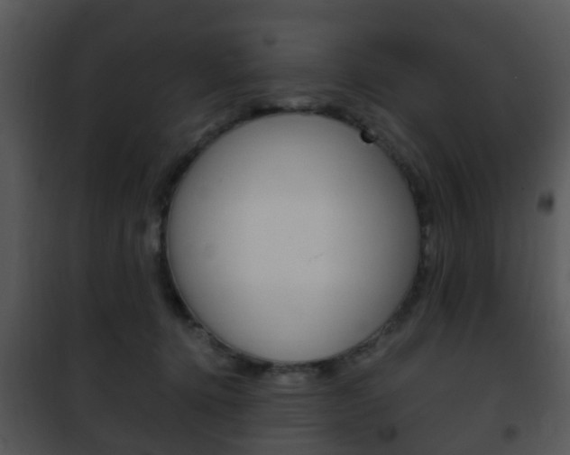 X0000101960368200807180708