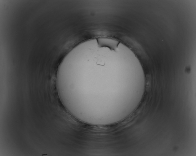 X0000101960369200807180708