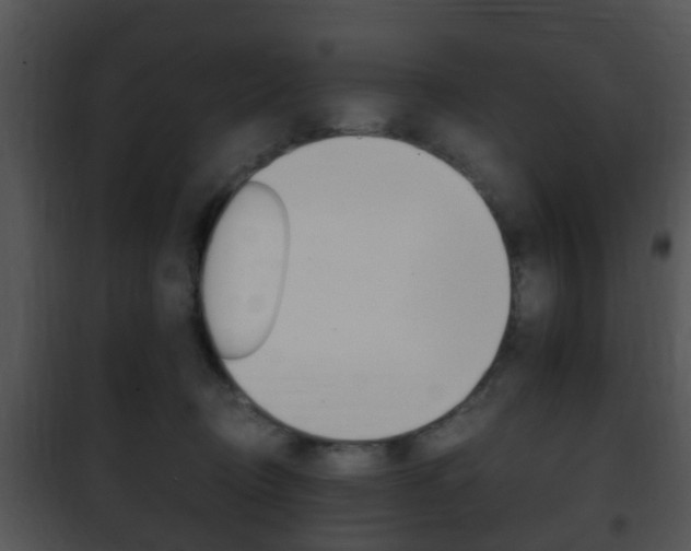 X0000101960370200807180708