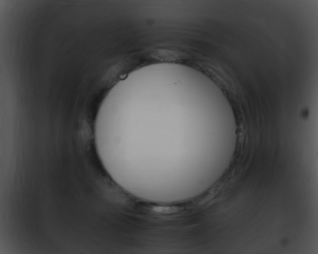 X0000101960371200807180708
