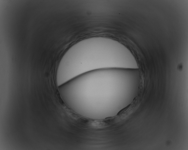 X0000101960372200807180708