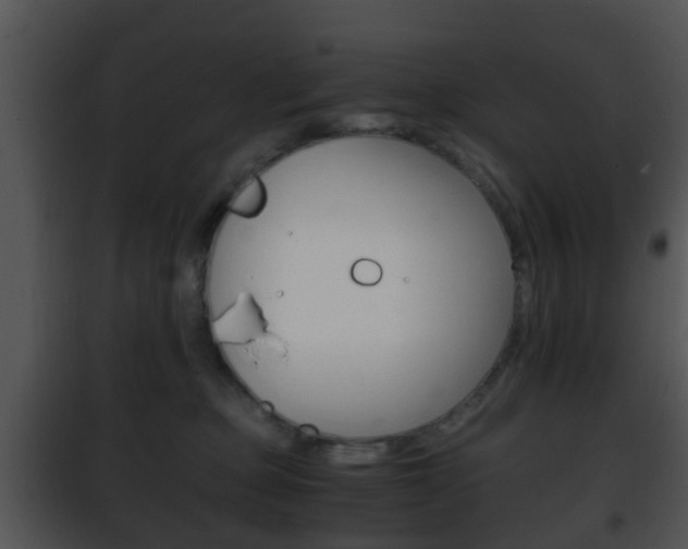 X0000101960373200807180708