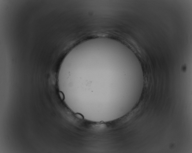 X0000101960374200807180708