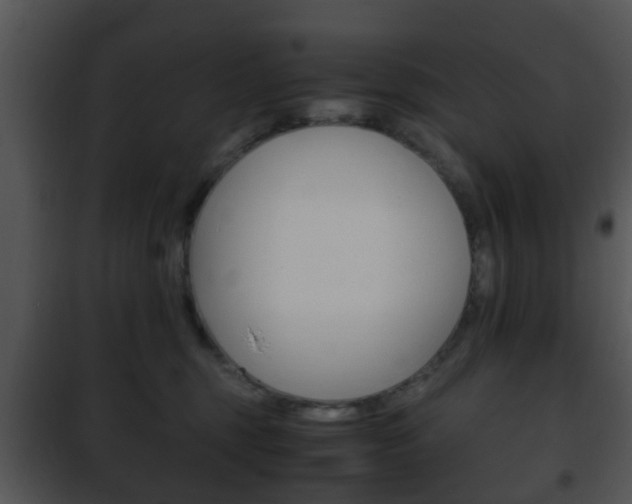 X0000101960375200807180708