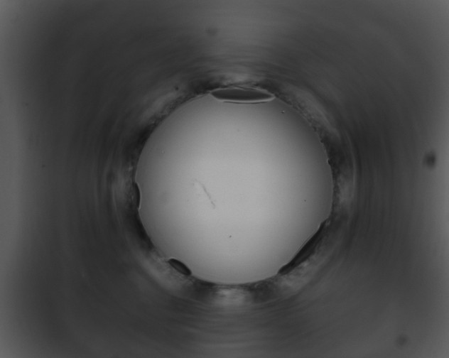 X0000101960376200807180708