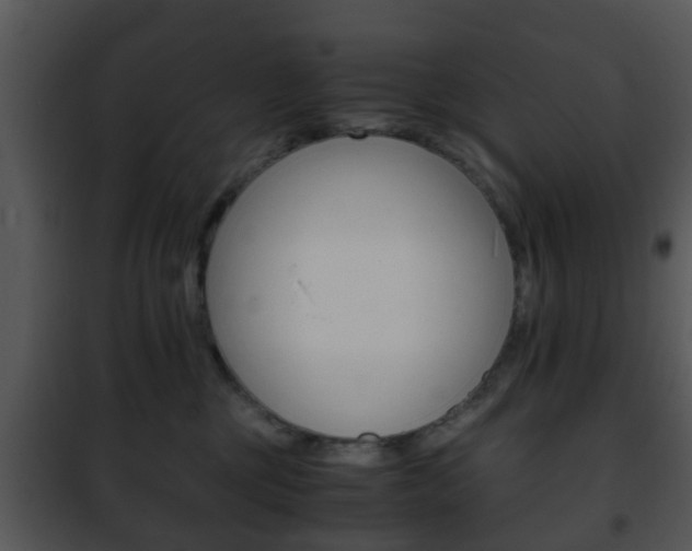 X0000101960377200807180708