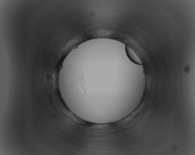 X0000101960378200807180708
