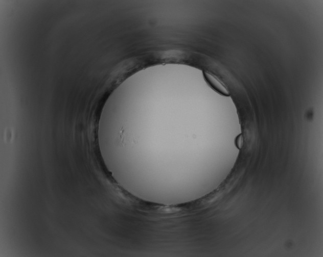 X0000101960379200807180708
