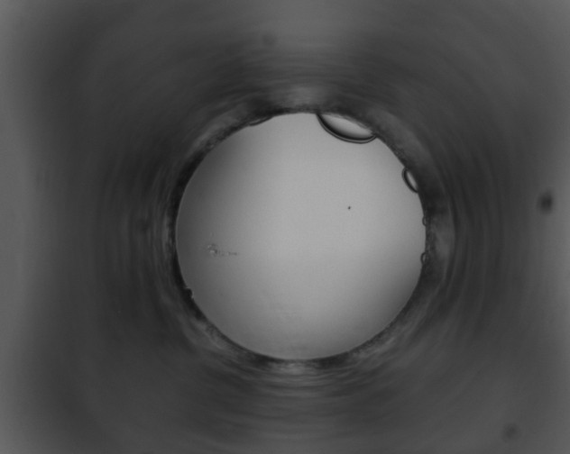 X0000101960380200807180708