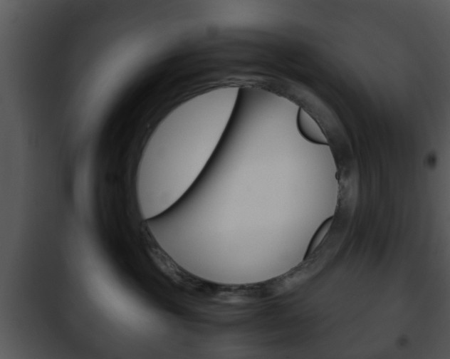 X0000101960381200807180708