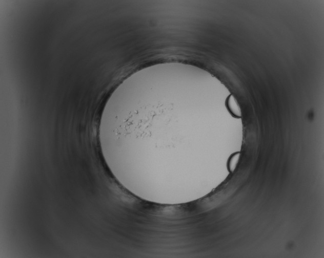 X0000101960382200807180708