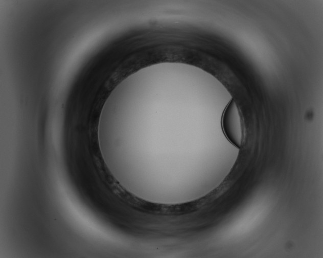 X0000101960383200807180708