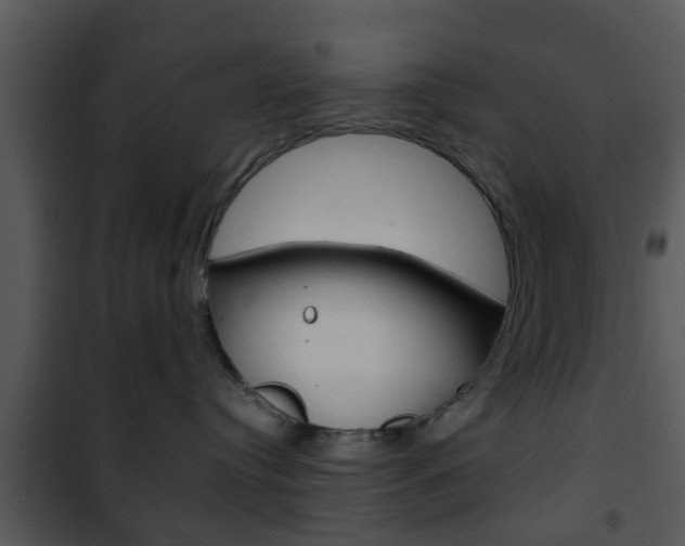 X0000101960384200807180708