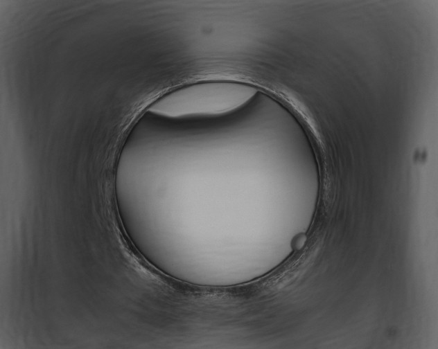 X0000101960385200807180708
