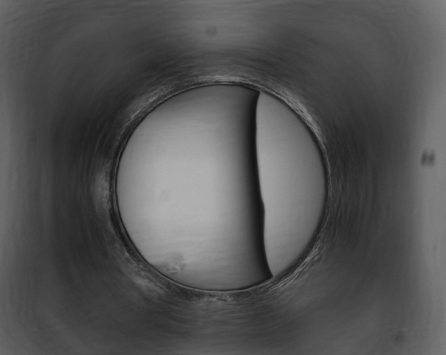 X0000101960386200807180708