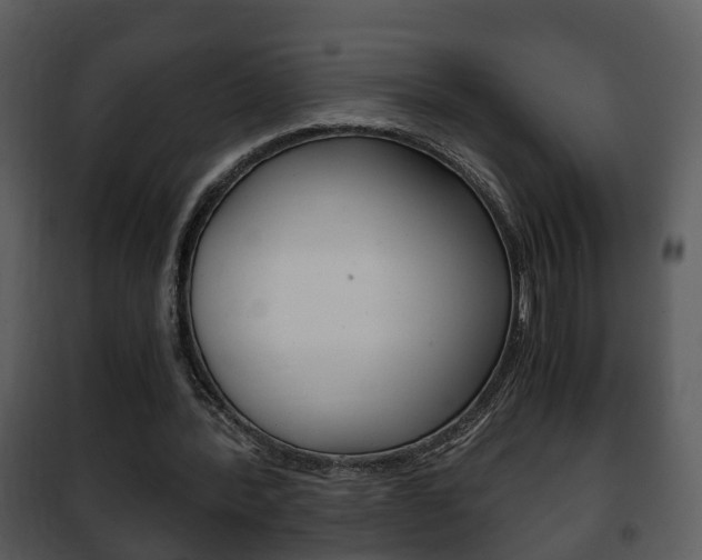 X0000101960388200807180708