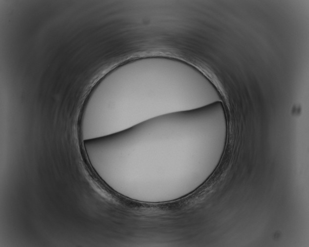 X0000101960389200807180708