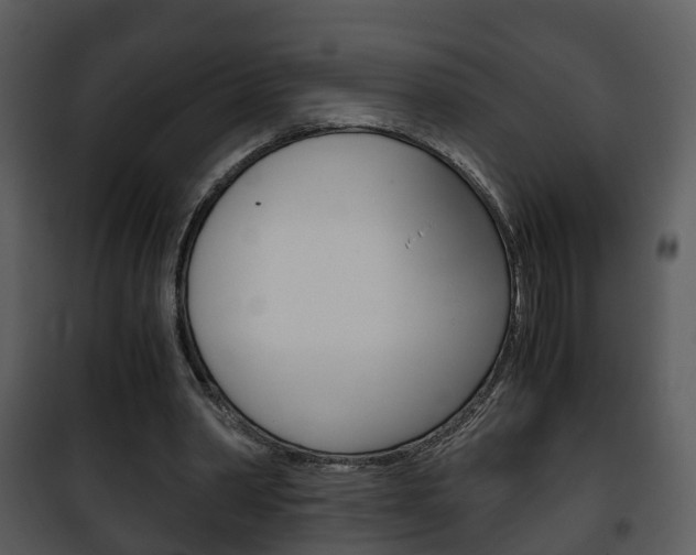 X0000101960390200807180707