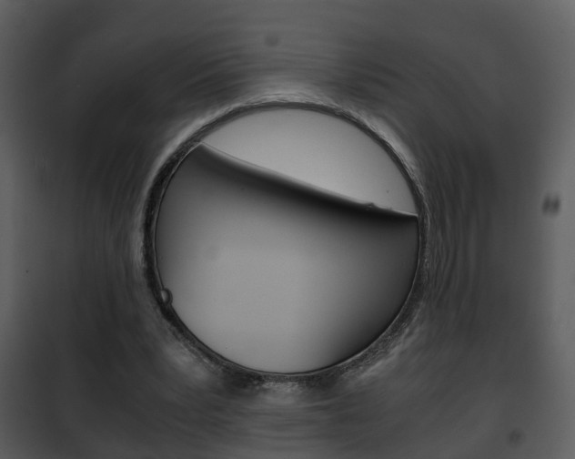 X0000101960391200807180707