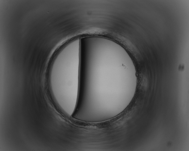 X0000101960392200807180707
