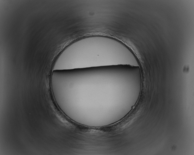 X0000101960393200807180707