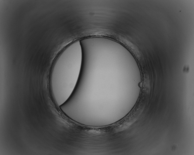X0000101960394200807180707