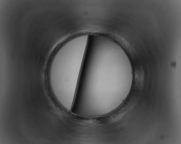 X0000101960396200807180707