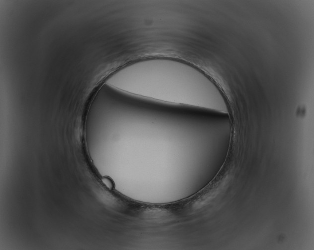 X0000101960397200807180707