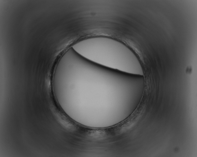 X0000101960398200807180707