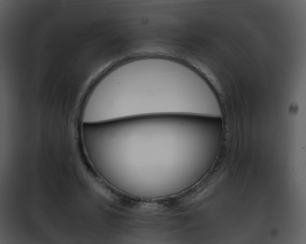 X0000101960399200807180707