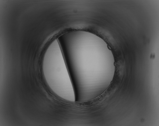 X0000101960400200807180707