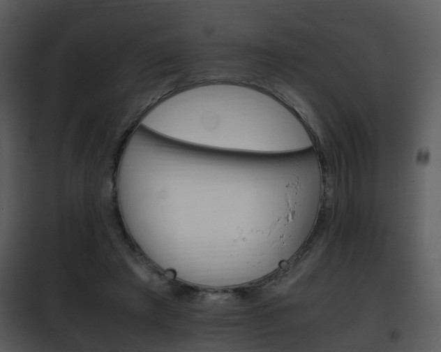 X0000101960401200807180707