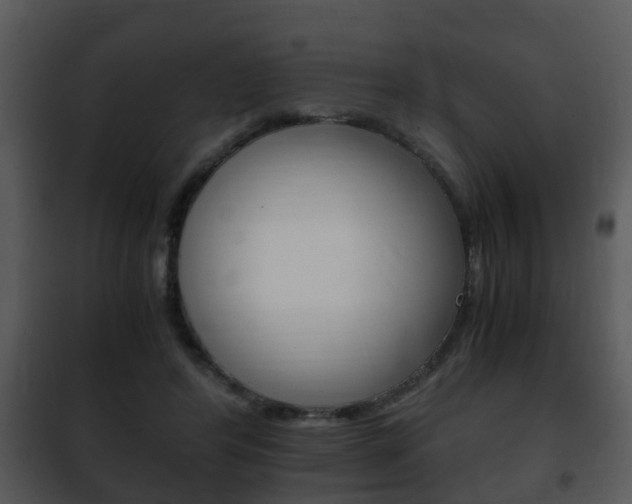 X0000101960404200807180707