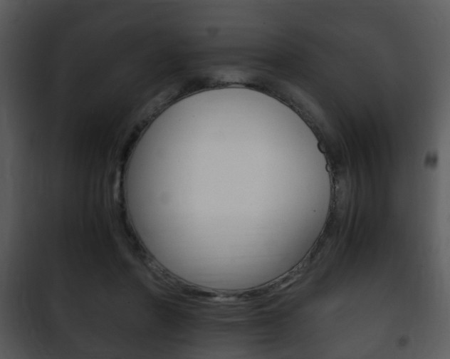 X0000101960406200807180707