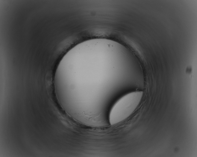 X0000101960407200807180707