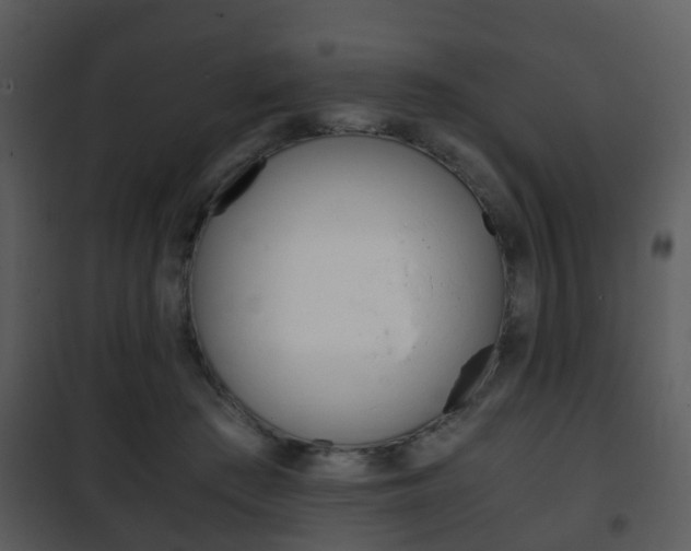 X0000101960409200807180707