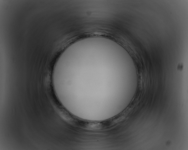 X0000101960410200807180707