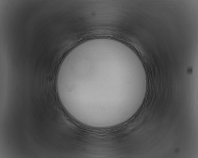 X0000101960411200807180707